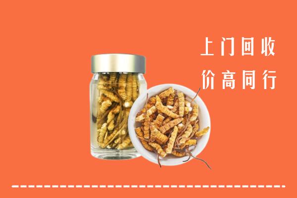 金华市武义县回收冬虫夏草
