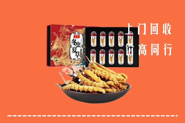 金华市武义县回收虫草